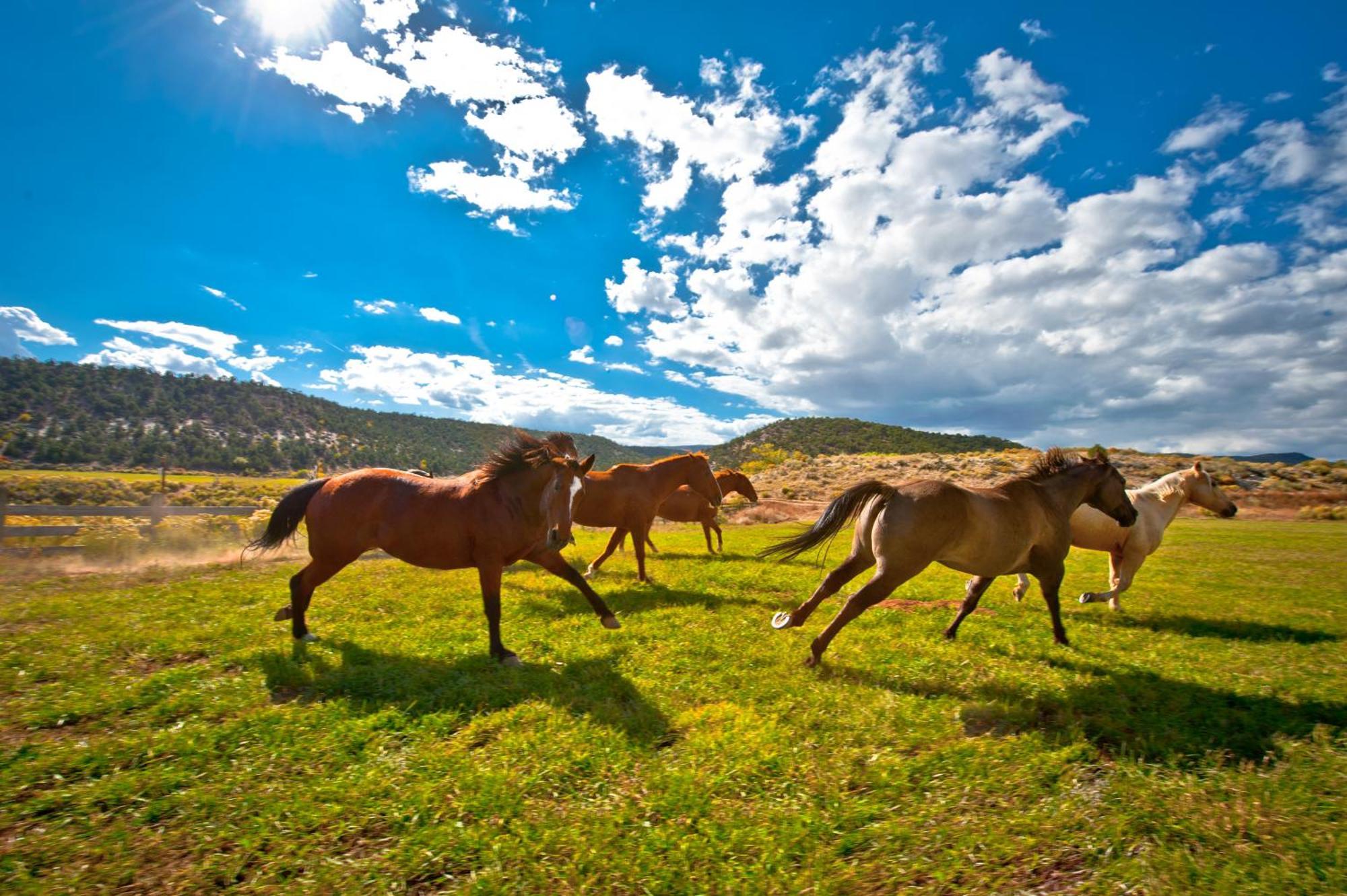 Vila Boulder Mountain Guest Ranch Exteriér fotografie